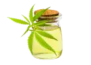 marijuana-cbd