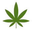 mega-marijuana-store-flower